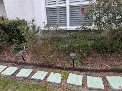 A front yard garden bed with plants, stepping stones, and solar lights in front of a window.