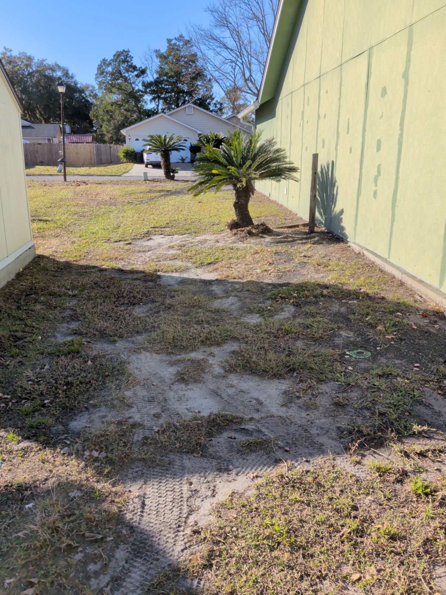 Backyard with dead grass, a small palm tree, and a light green building.