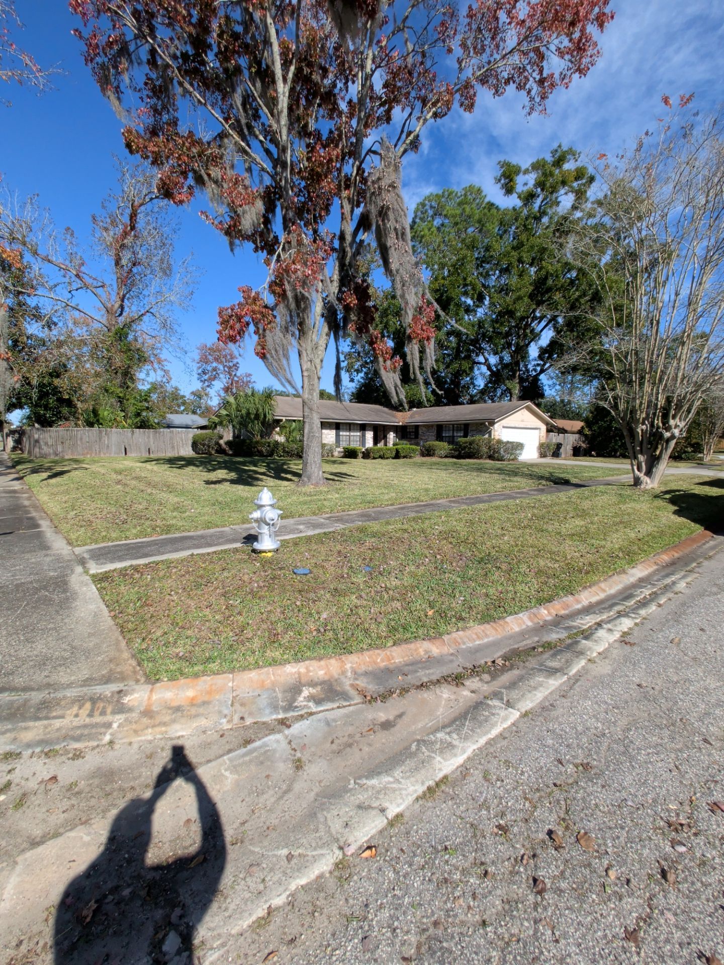 A house with a long lawn and trees on a sunny day. A person's shadow is in the foreground.