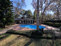 A backyard with a pool, a house, trees, and greenery on a sunny day.