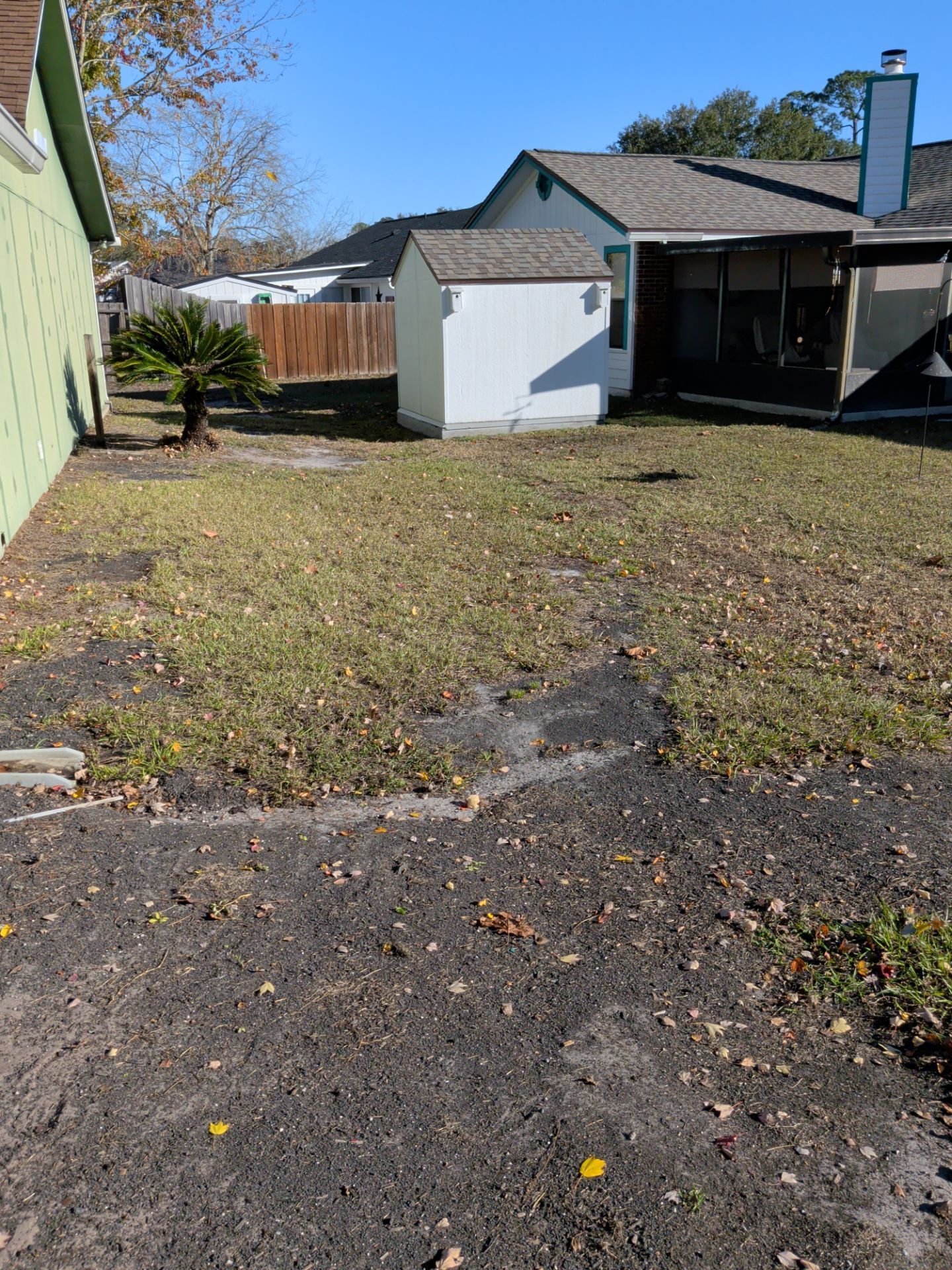 Backyard with patchy grass, small shed, and homes. Sunny, daytime.