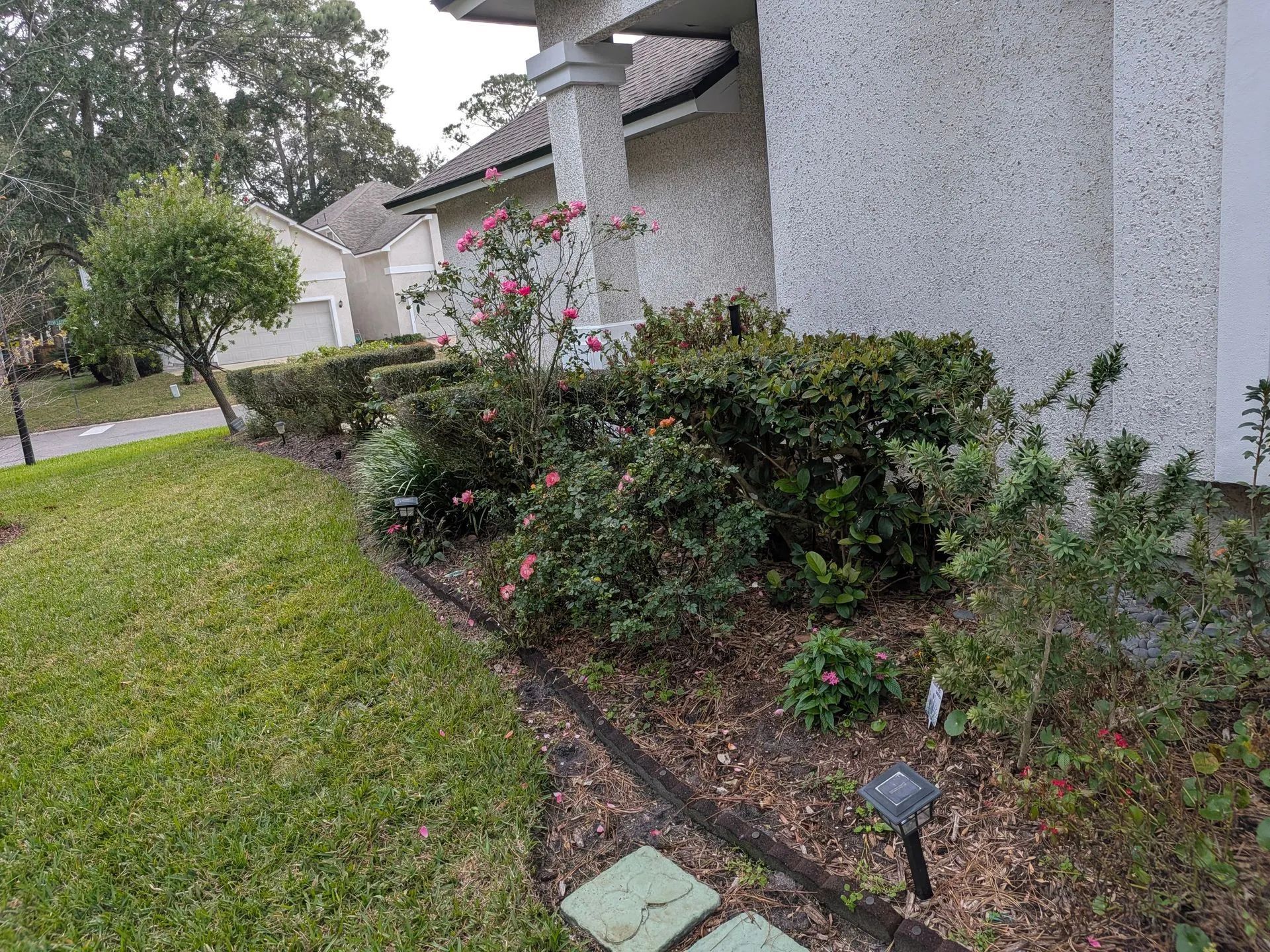 Front yard garden bed with shrubs, pink flowers, lawn, and a gray stucco house wall