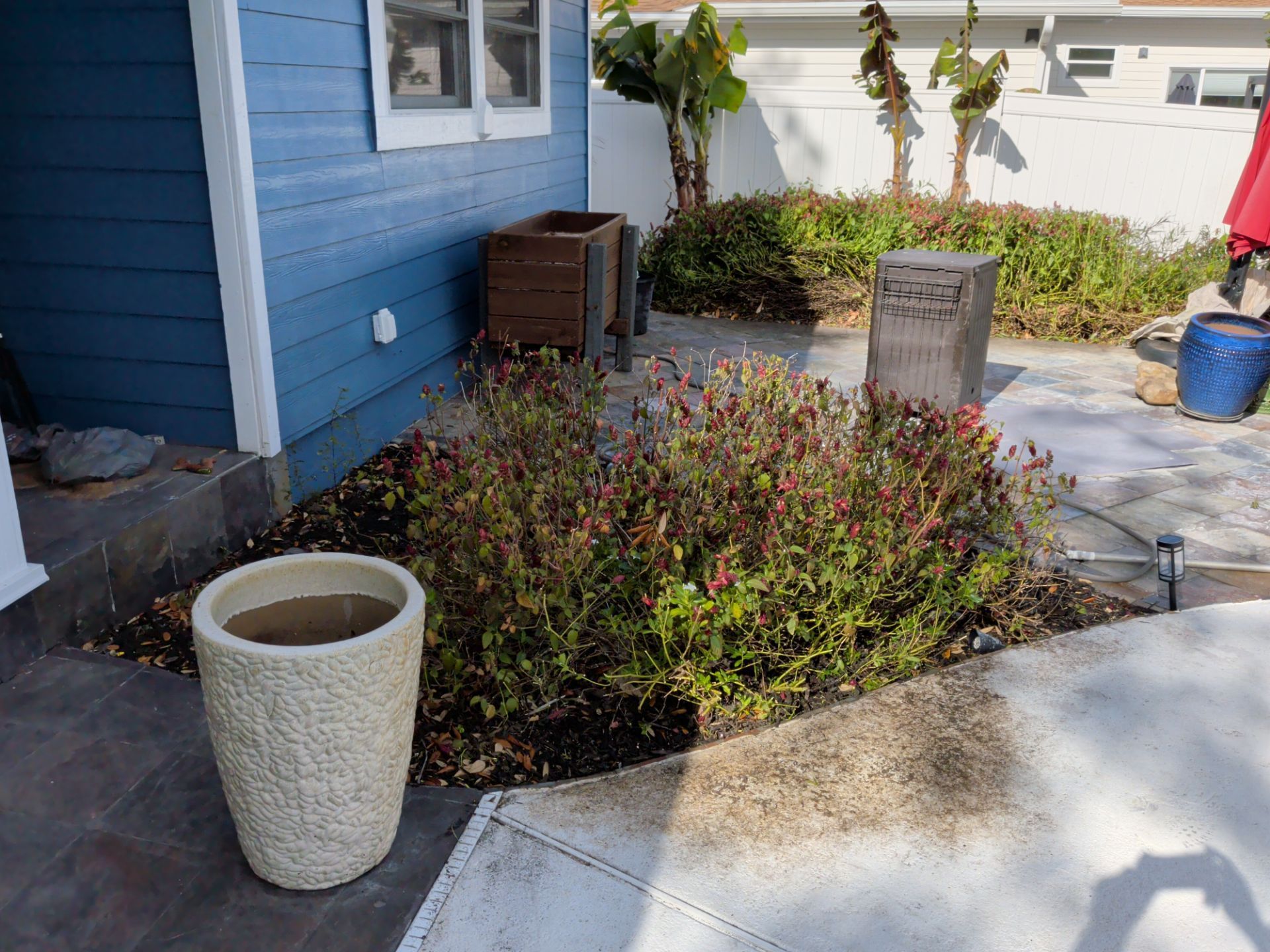 Exterior scene: blue building, concrete patio, garden bed with shrubs, planter, and trash can.