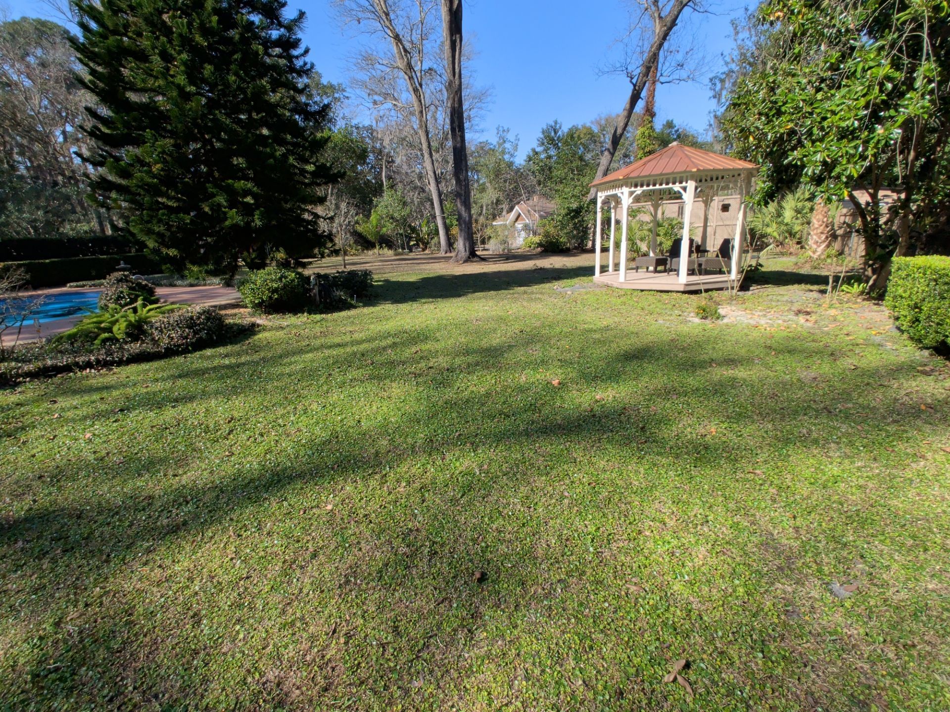 Grassy backyard with gazebo, trees, and a pool on a sunny day.