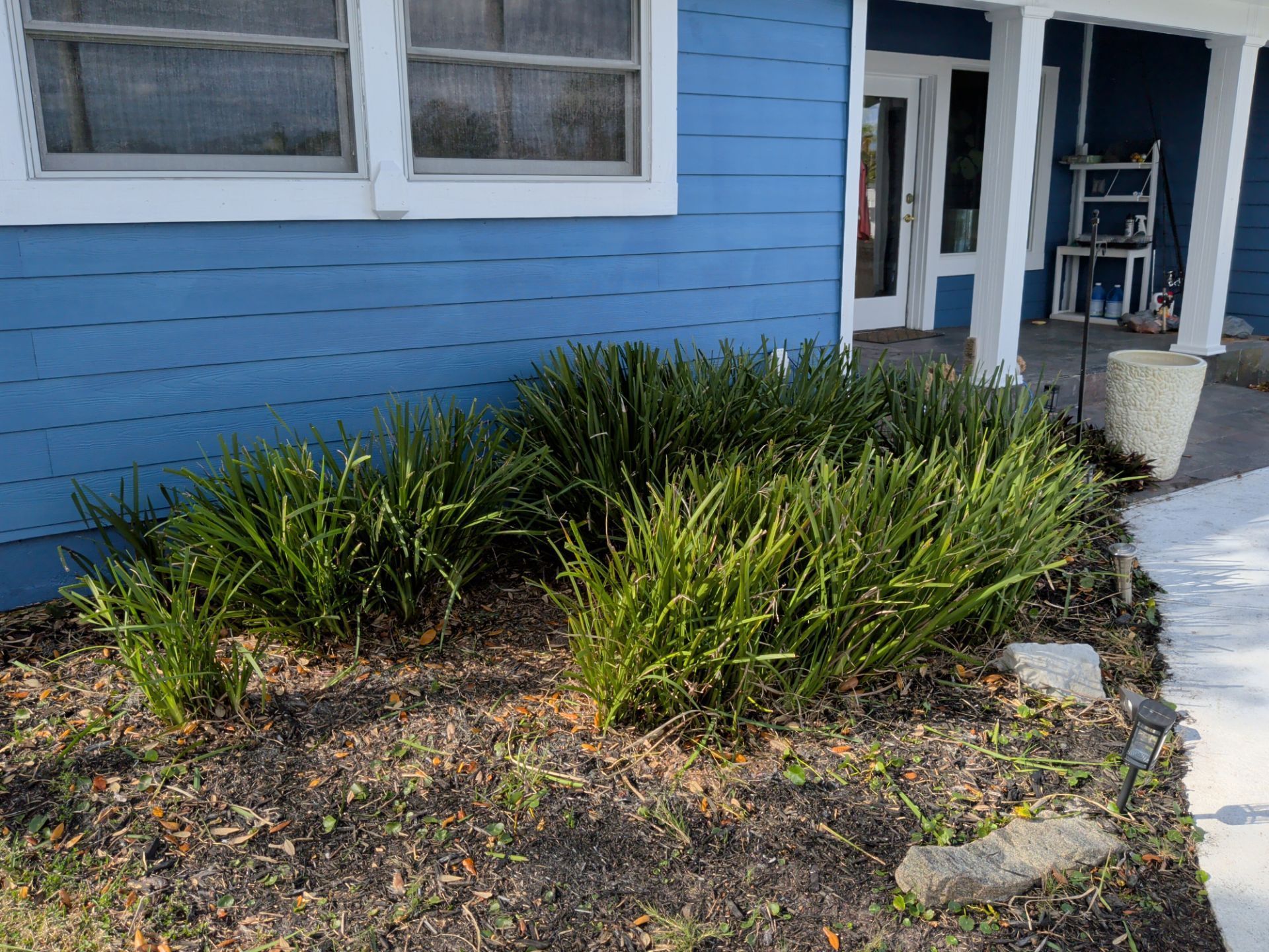 Blue house exterior with green grass-like plants in a bed near the porch.