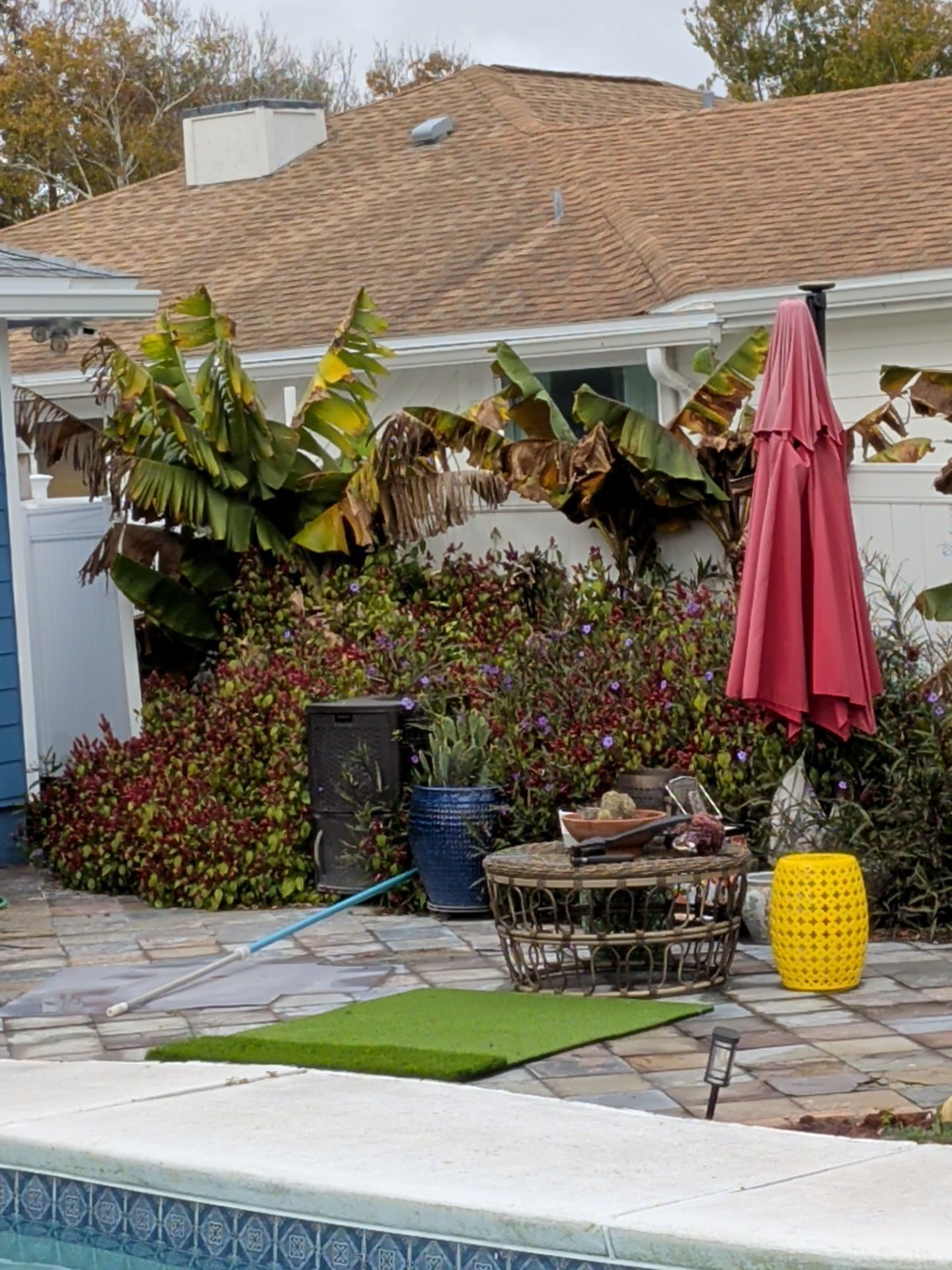 Backyard patio with lush plants, umbrella, and a pool.