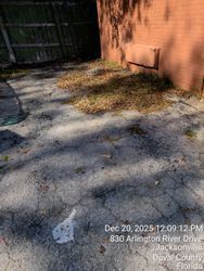 Cracked asphalt, patch of dead grass, brick wall, fence, and date stamp.