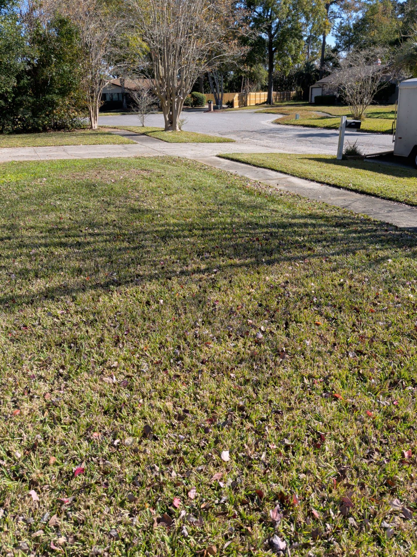 Grassy lawn and sidewalk leading to a residential street with trees and houses.