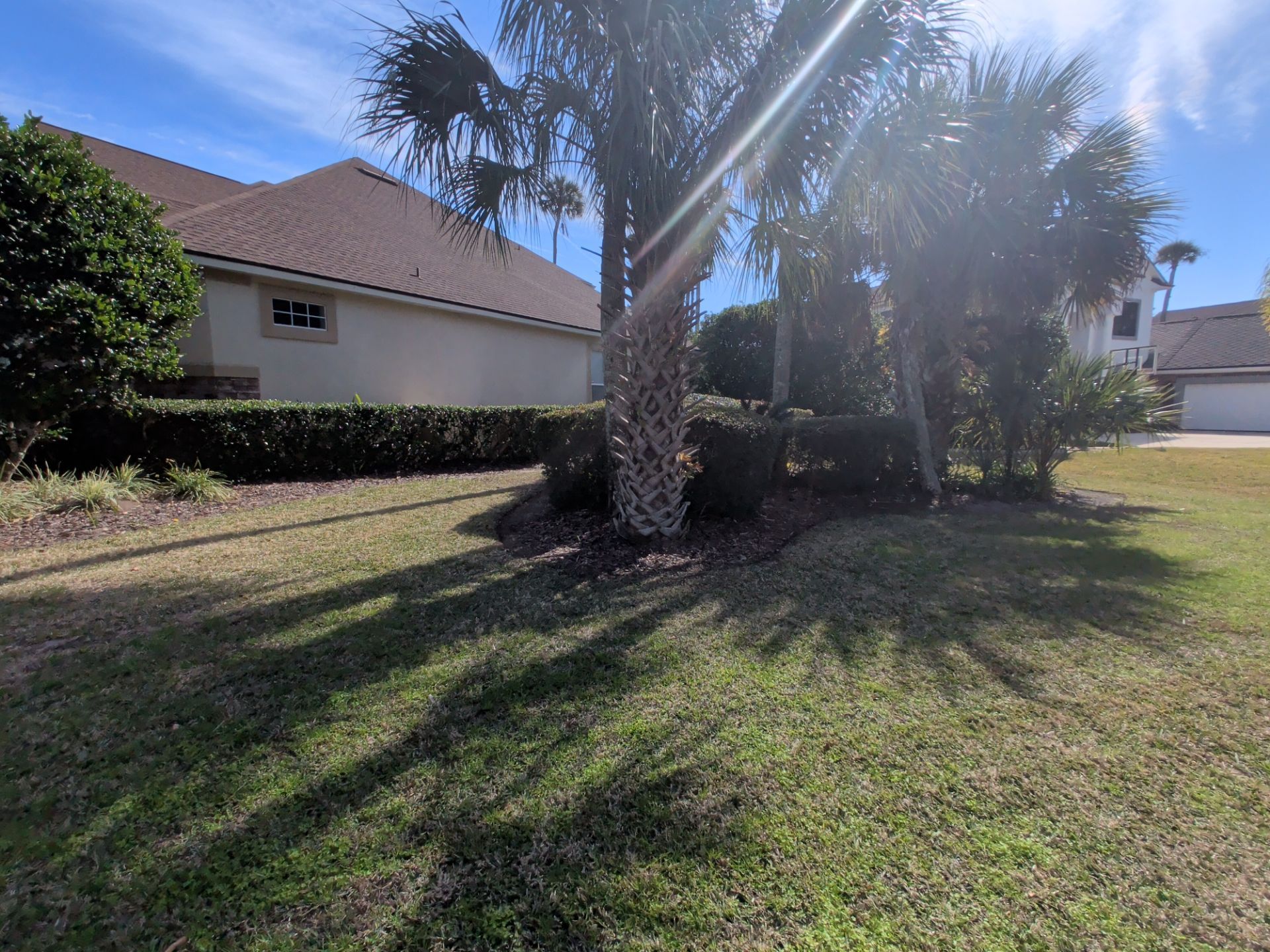 Lush green lawn with shadows and palm trees in front of a light-colored house under a bright blue sky.