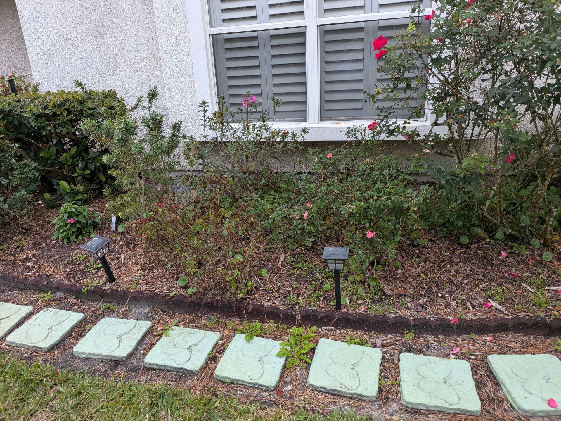 Green walkway in front of a house, garden bed with bushes and roses, window with shutters.