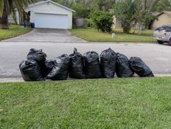Black trash bags lined up on a grassy lawn next to a street. A house is in the background.