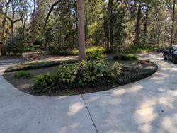 Concrete driveway with a landscaped island around a tree, backed by trees and parked cars.