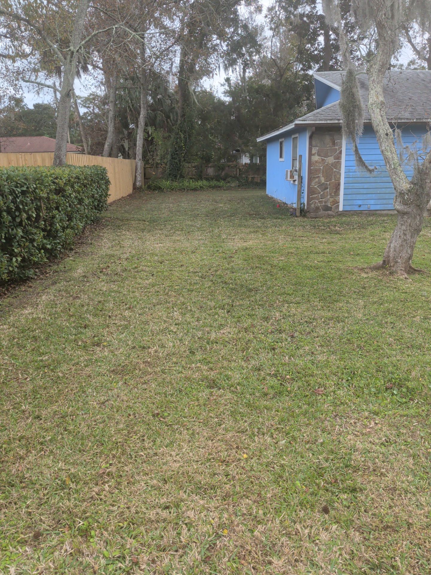 Grassy yard with a blue house and a brown fence.
