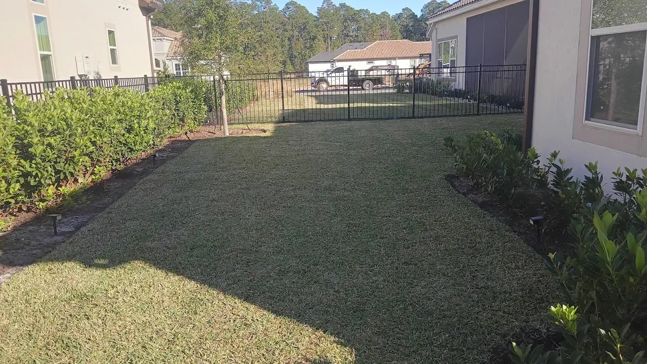 Backyard with green grass, bushes, black fence, and beige house on a sunny day.