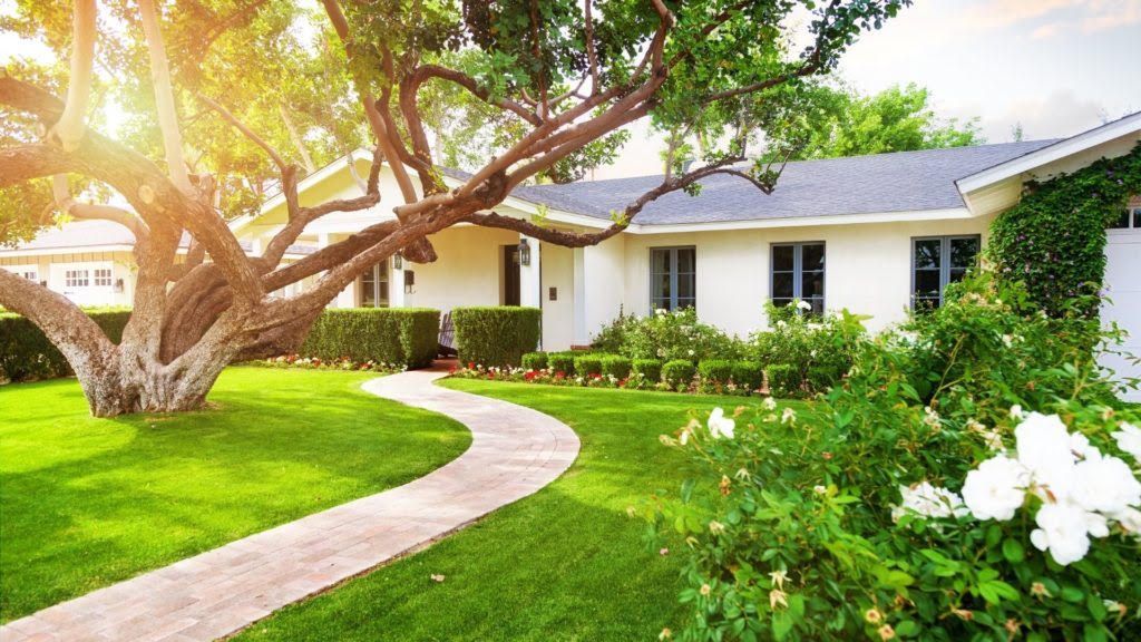 Sunlit suburban house with a curved walkway, lush green lawn, and blooming white flowers