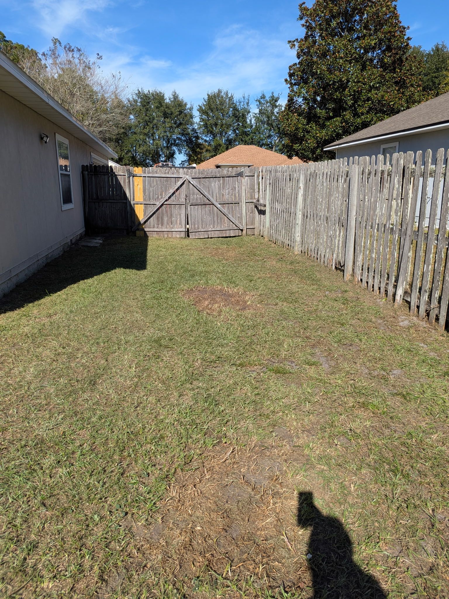 Fenced backyard with patchy grass, wooden gate, house on left, fence on right, bright sunny day.