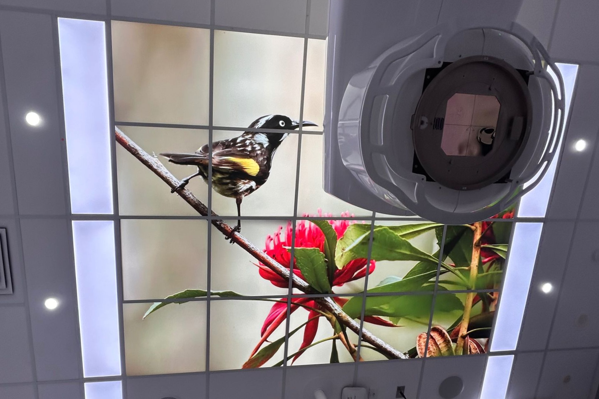 Specialist skylight installation within a medical imaging room by healthcare electricians