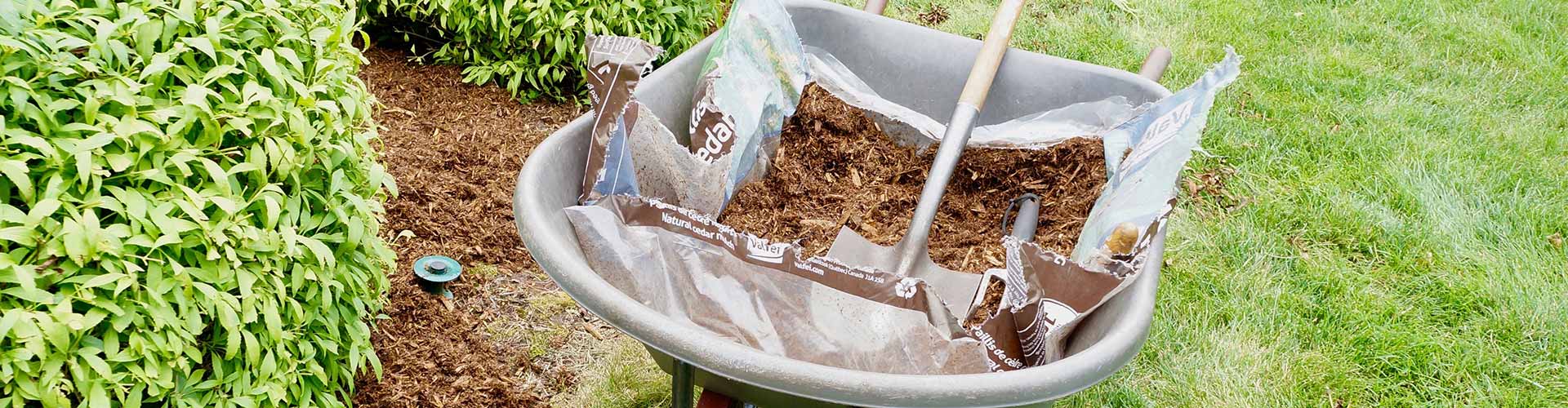 spade in dirt
