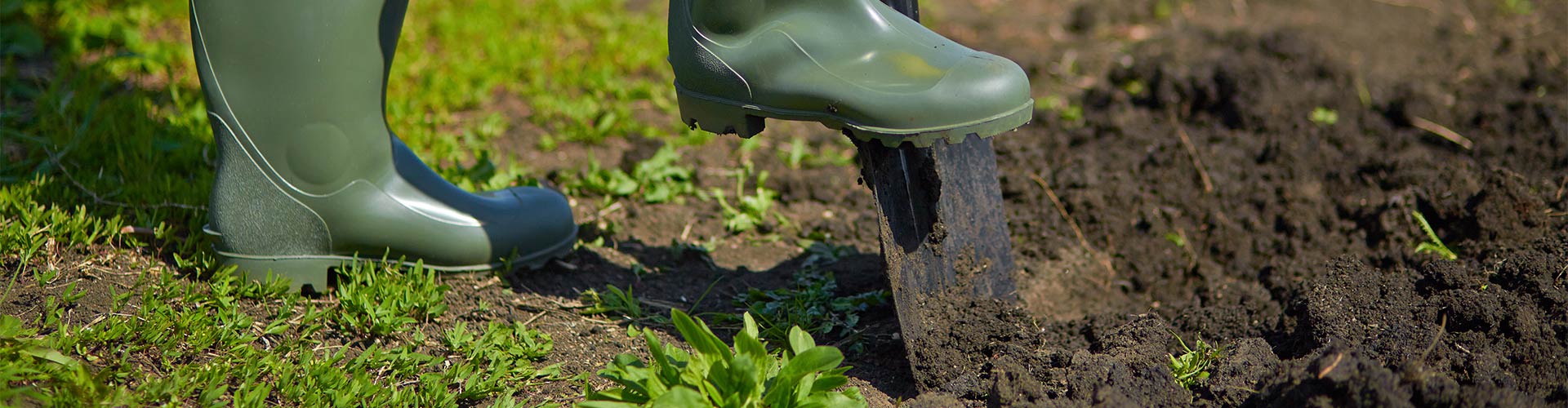 man weeding a garden