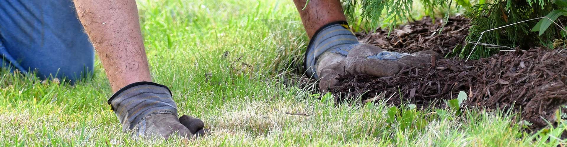 man mulching a lawn