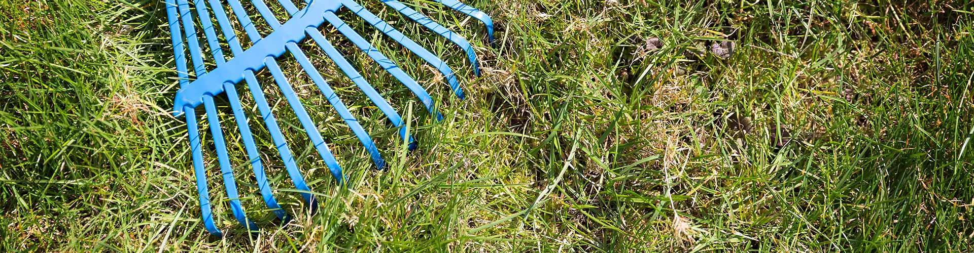 raking a lawn