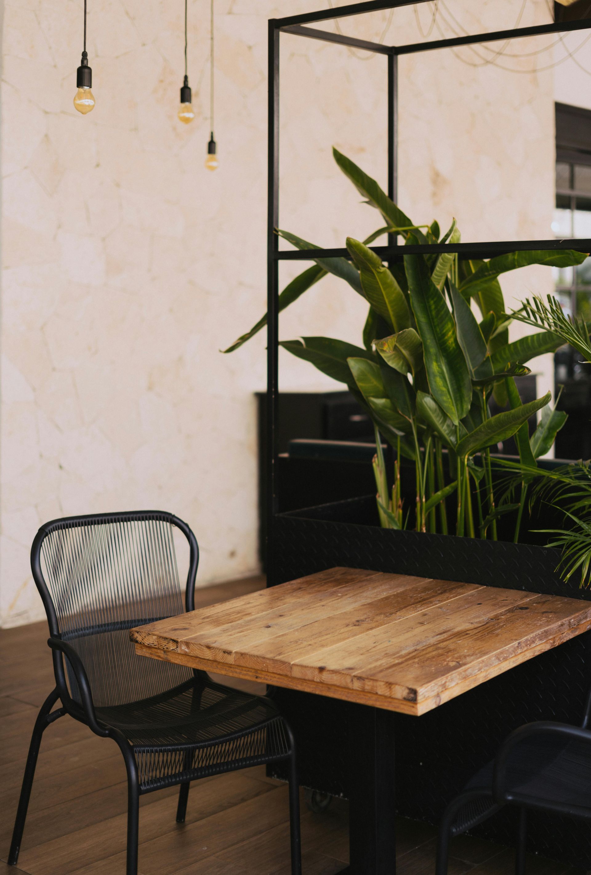 A wooden table and chairs in a room with a plant in the corner.