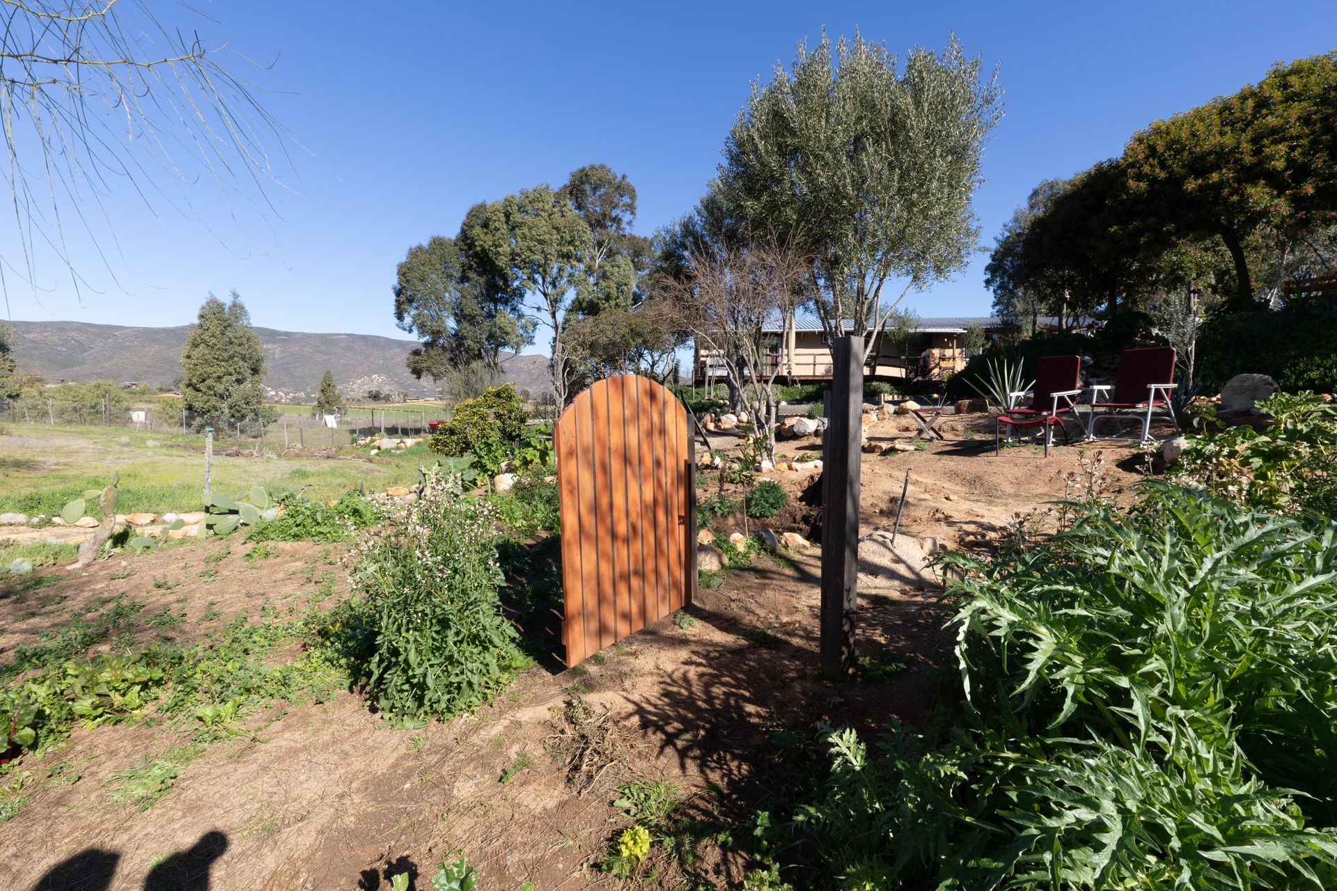 Puerta rústica de madera en un jardín soleado con árboles, arbustos y colinas a lo lejos bajo un cielo azul claro.