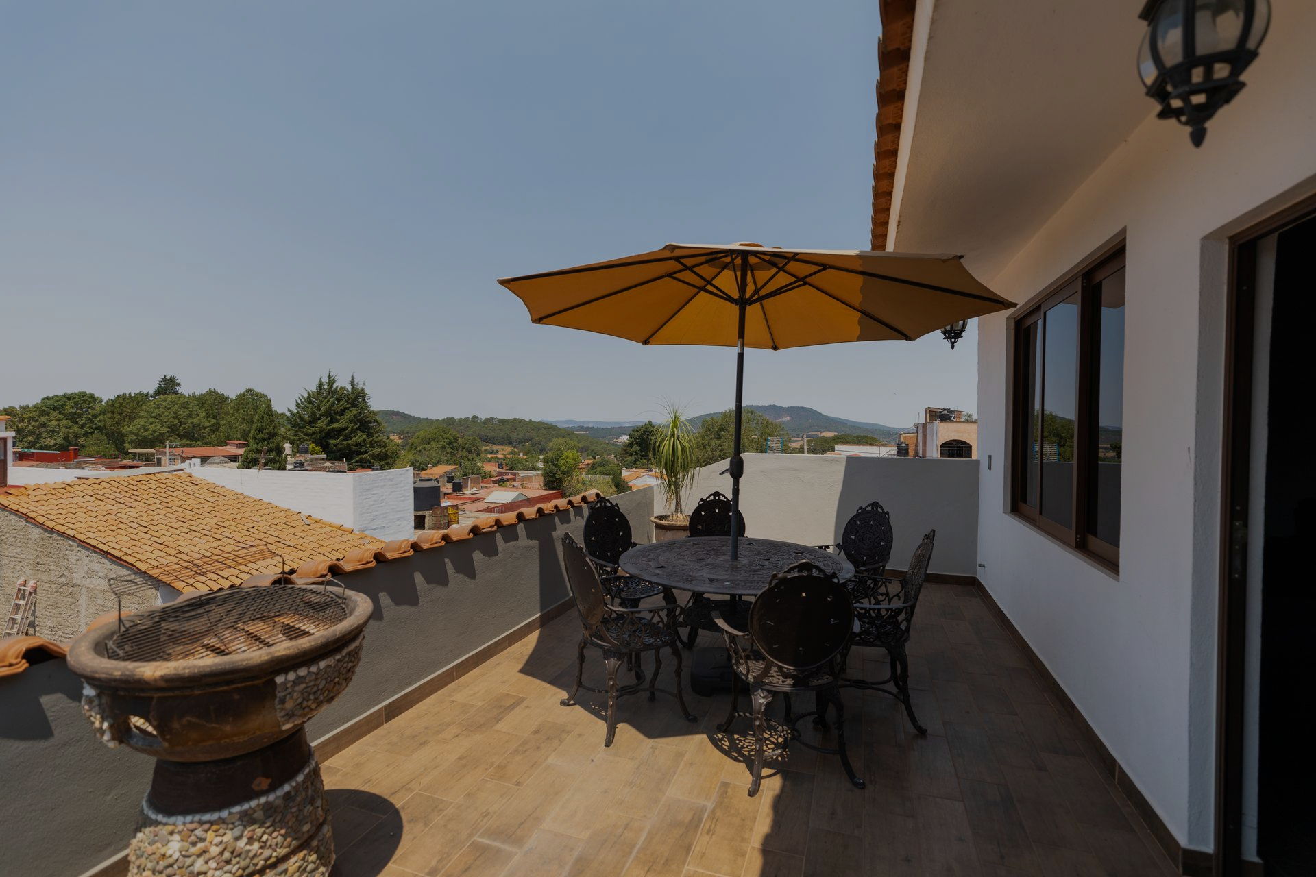 Primer plano de hojas suculentas espinosas de color azul verdoso que se extienden hacia afuera.
