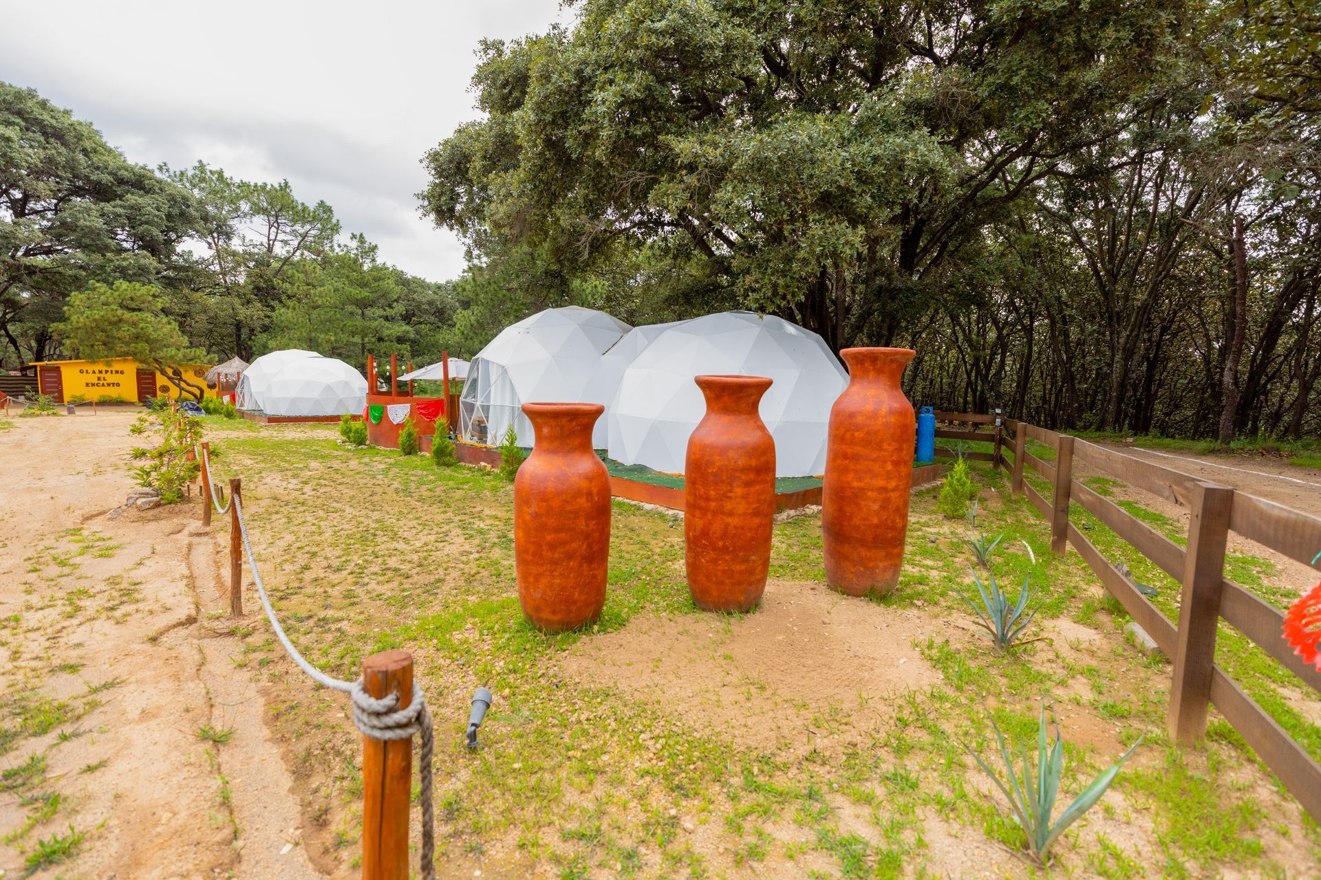 Tres macetas de terracota en un jardín arenoso junto a cúpulas blancas y árboles.