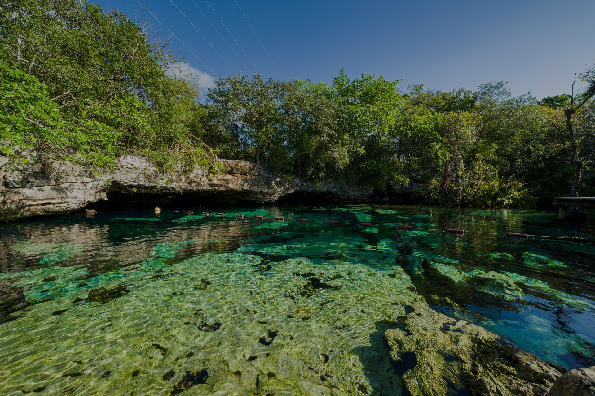 Una poza de agua cristalina de color turquesa bordeada por salientes rocosos y frondosos árboles verdes bajo un cielo azul.