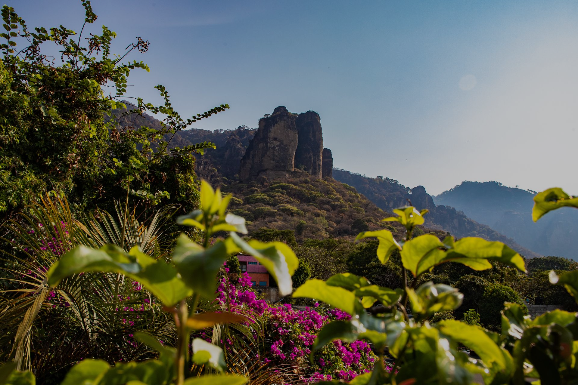 Acantilados de montaña bañados por el sol, enmarcados por hojas verdes y flores rosas bajo un cielo azul despejado.