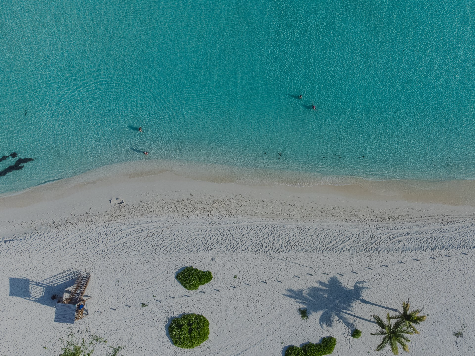 Vista aérea de una playa de arena con agua turquesa, dos tumbonas y la sombra de una palmera.