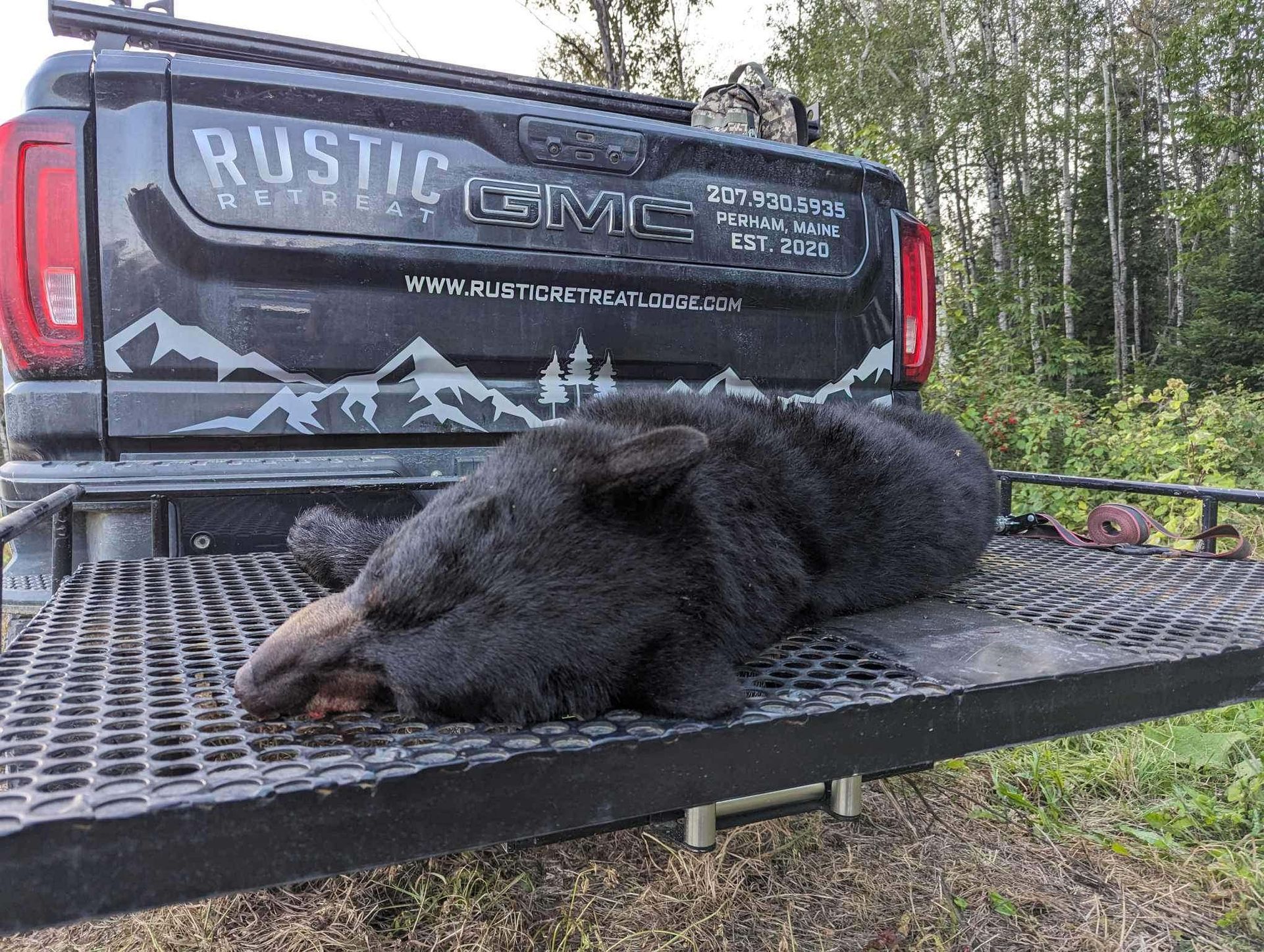 A harvested black bear lies on a metal hitch carrier attached to the back of a black GMC pickup truck.