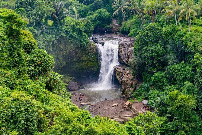 A waterfall in the middle of a lush green forest.