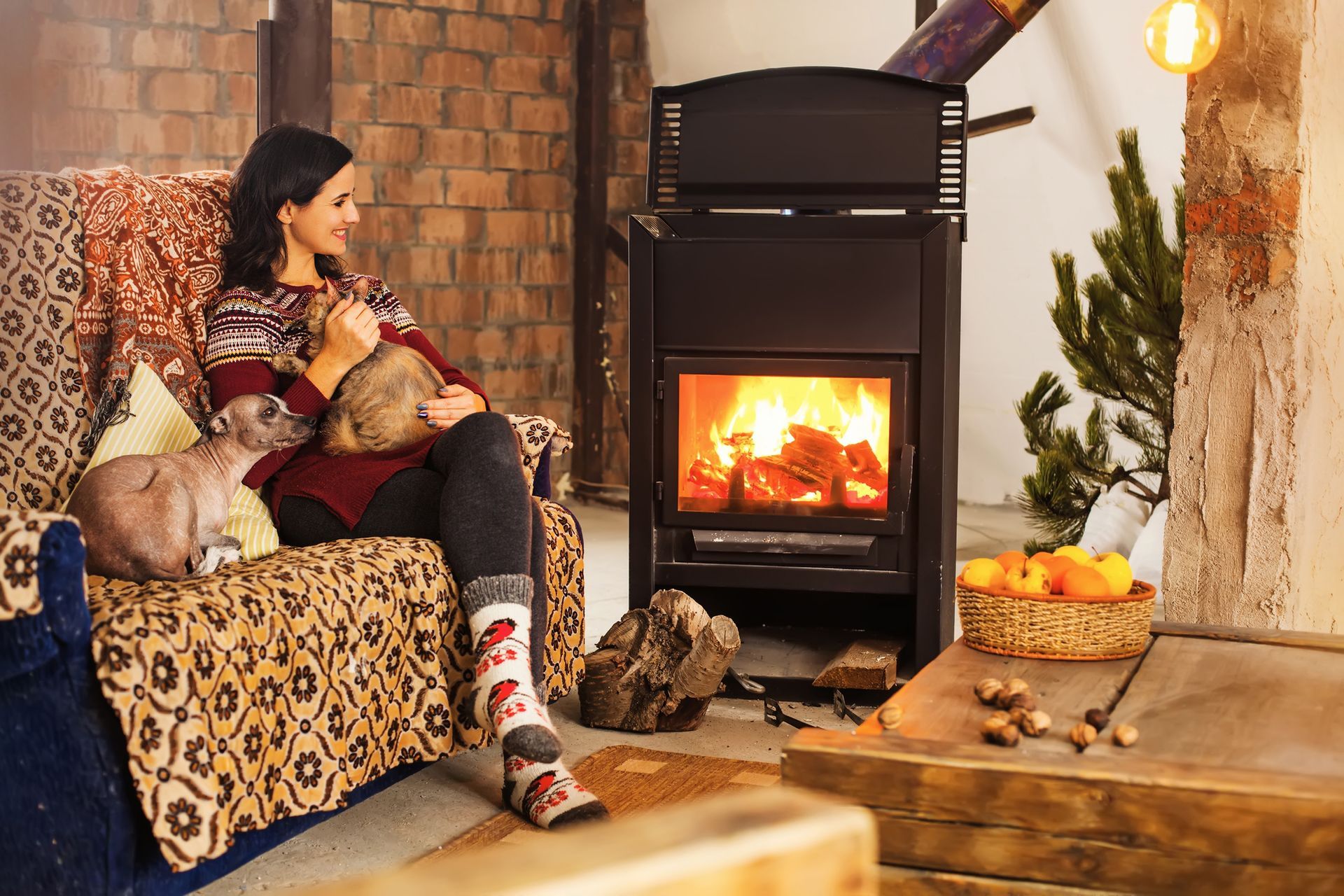 Woman sitting with two cats by a burning fireplace. Cozy room with logs and fruit.
