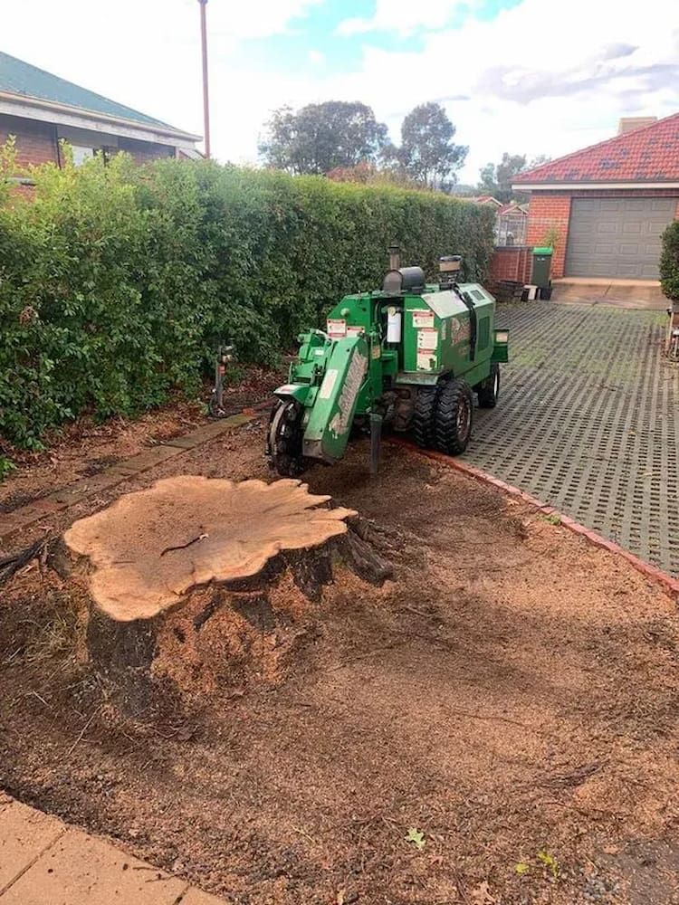 Green Stump Grinder Next to a Large Tree Stump on Dirt — Riverina Tree Fellas in Gobbagombalin, NSW