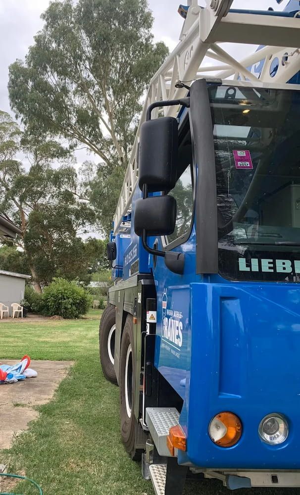 Blue Liebherr Crane Parked on Grass With Trees — Riverina Tree Fellas in Gobbagombalin, NSW