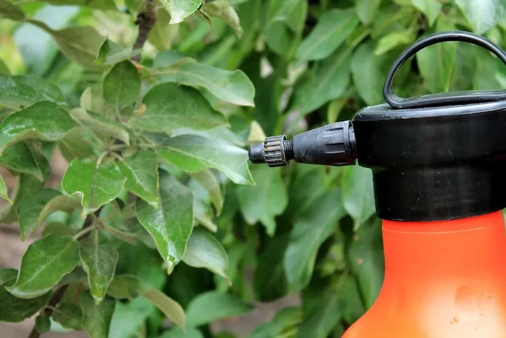 Orange Sprayer Spraying — Riverina Tree Fellas in Gobbagombalin, NSW