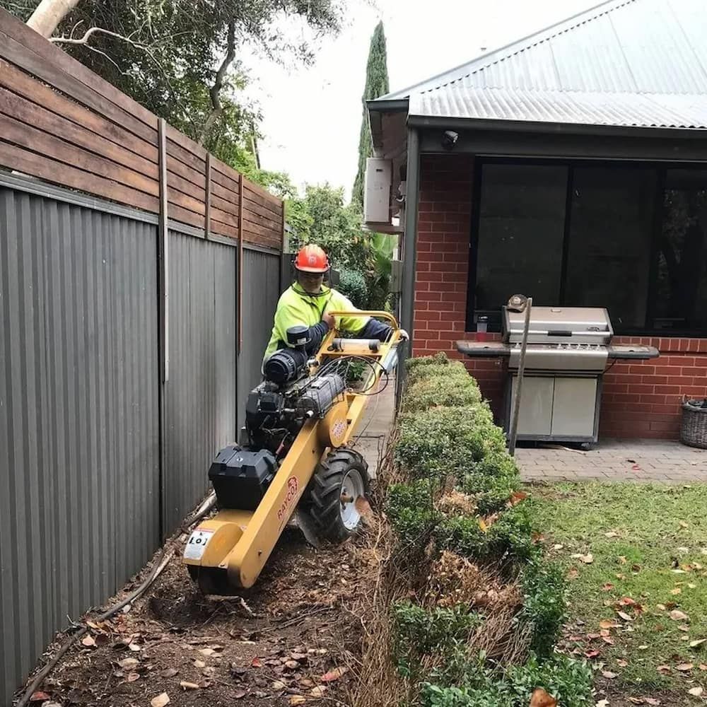Man Operating a Stump Grinder Next to a Fence and House, Wearing Safety Gear — Riverina Tree Fellas in Tumut, NSW