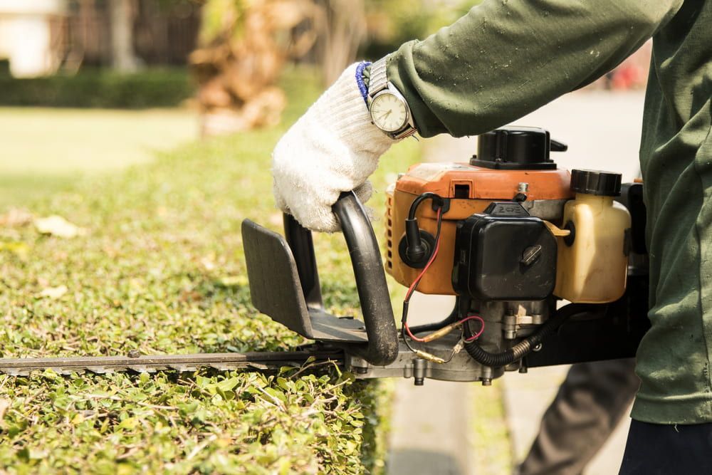 Person Using a Hedge Trimmer to Trim a Green Hedge Outdoors — Riverina Tree Fellas in Temora, NSW