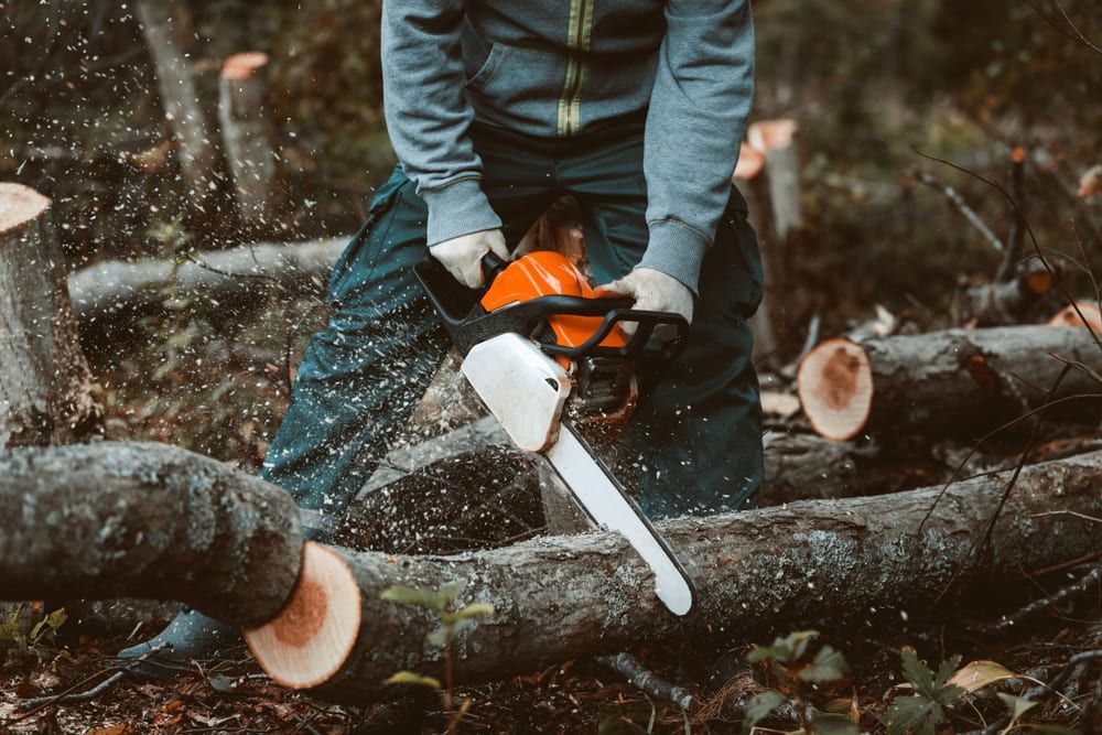 Person Cutting Wood With an Orange and White Chainsaw; Sawdust Flying — Riverina Tree Fellas in Tumut, NSW
