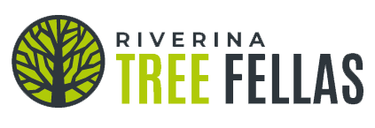 Arborist in Wagga Wagga Arborist in Wagga Wagga