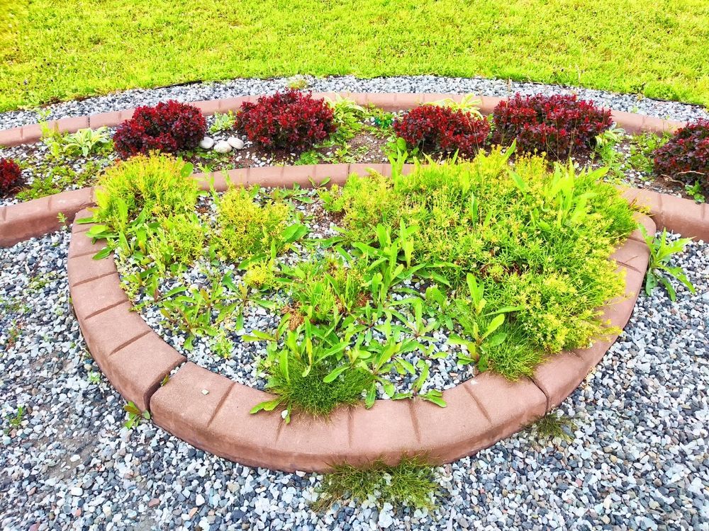 Curved brick flower bed with green plants, red shrubs, and small white flowers on gravel