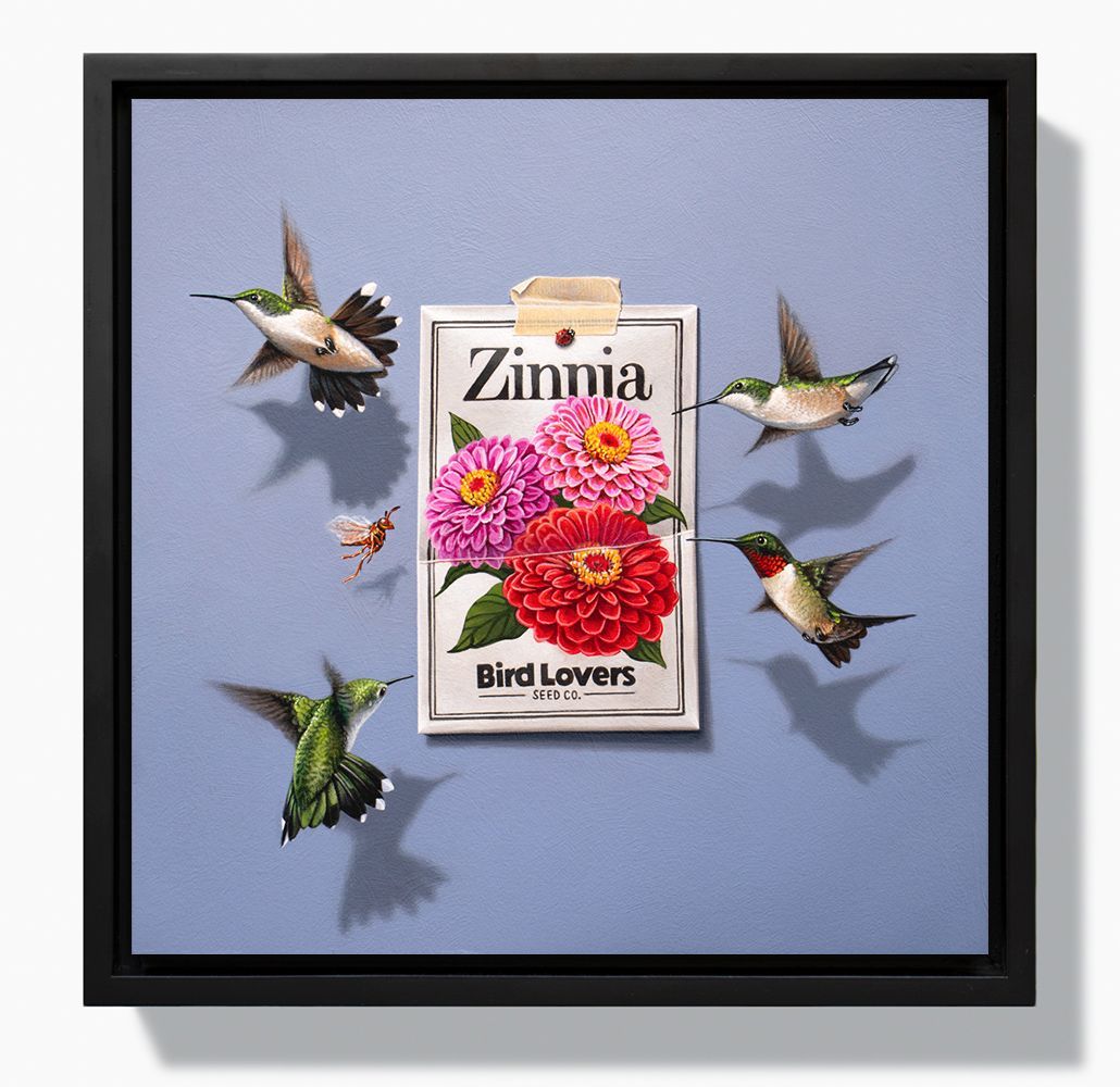 This painting shows a Zinnia seed package taped to a violet background. Four Ruby throated hummingbirds are investigating.