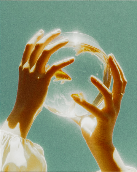Two hands hold a spherical glass bowl containing a small gold fish, set against a teal background.