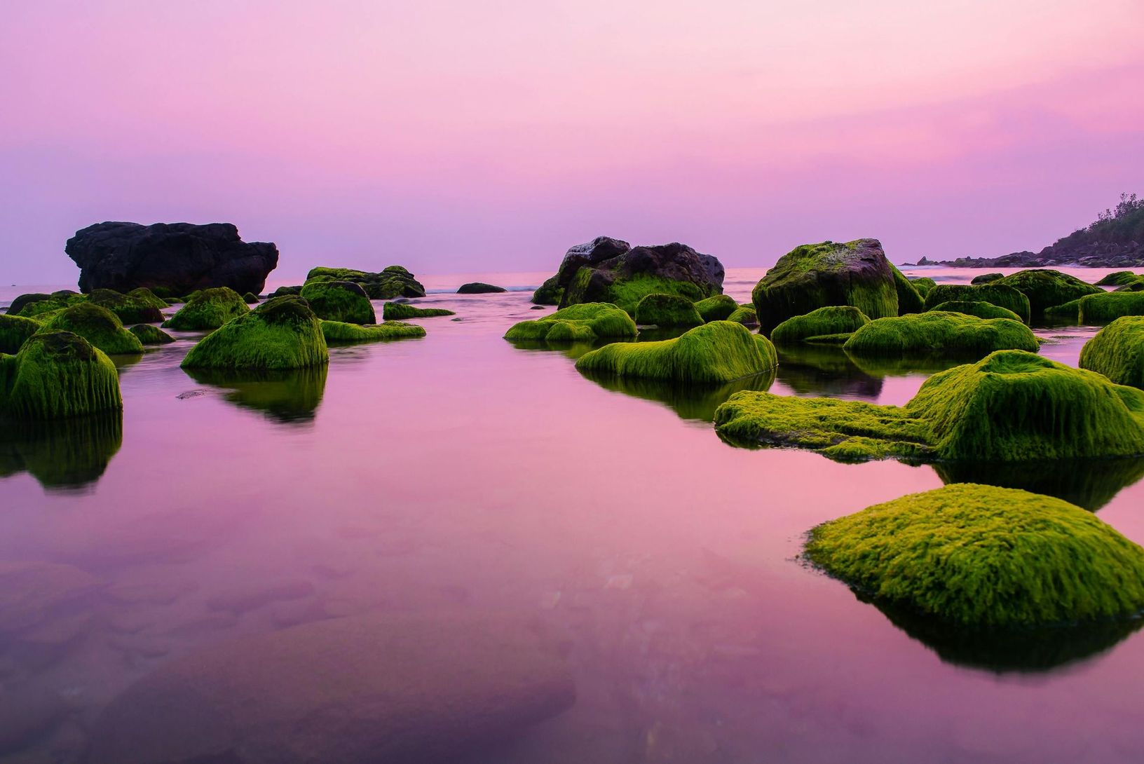 Mossy rocks scattered in calm, shallow water under a soft pink and purple sunset sky.