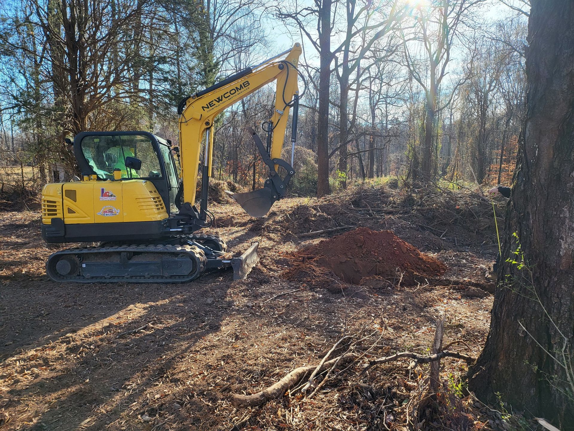 Yellow excavator digging in a wooded area with bare trees and bright sunlight.