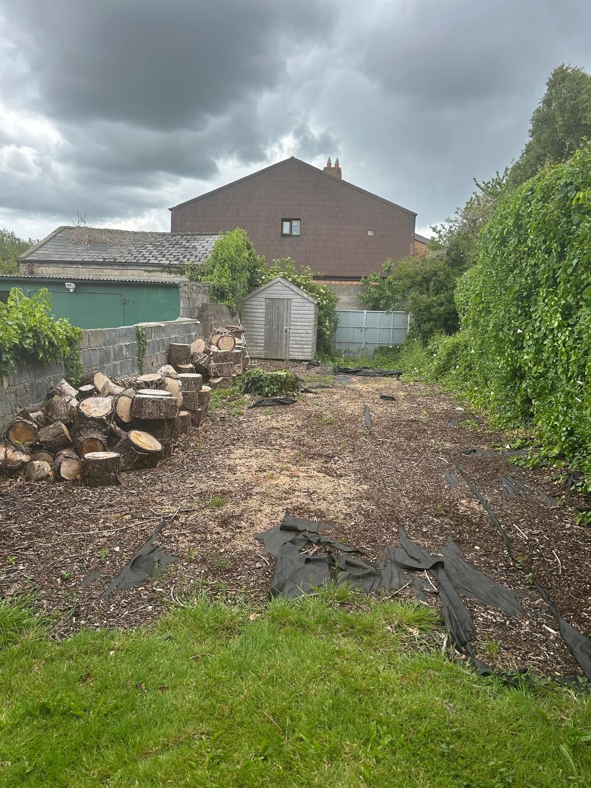 Backyard with a shed, chopped logs, and a house in the background under a cloudy sky.
