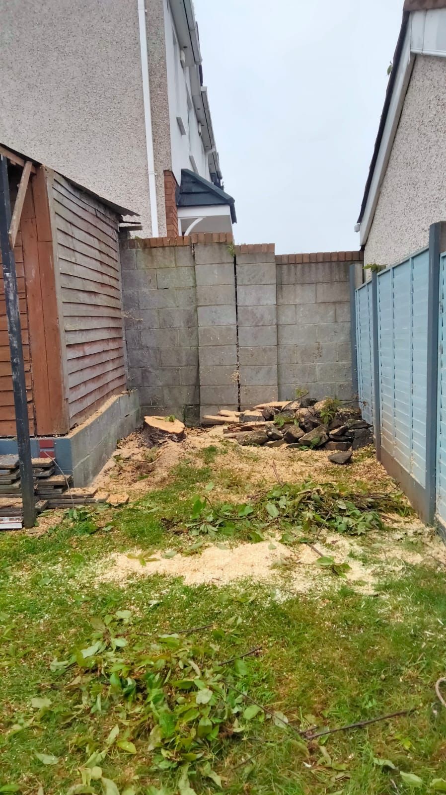 Backyard with shed on the left, cinder block wall in the middle, and a fence on the right. Lawn is in foreground.