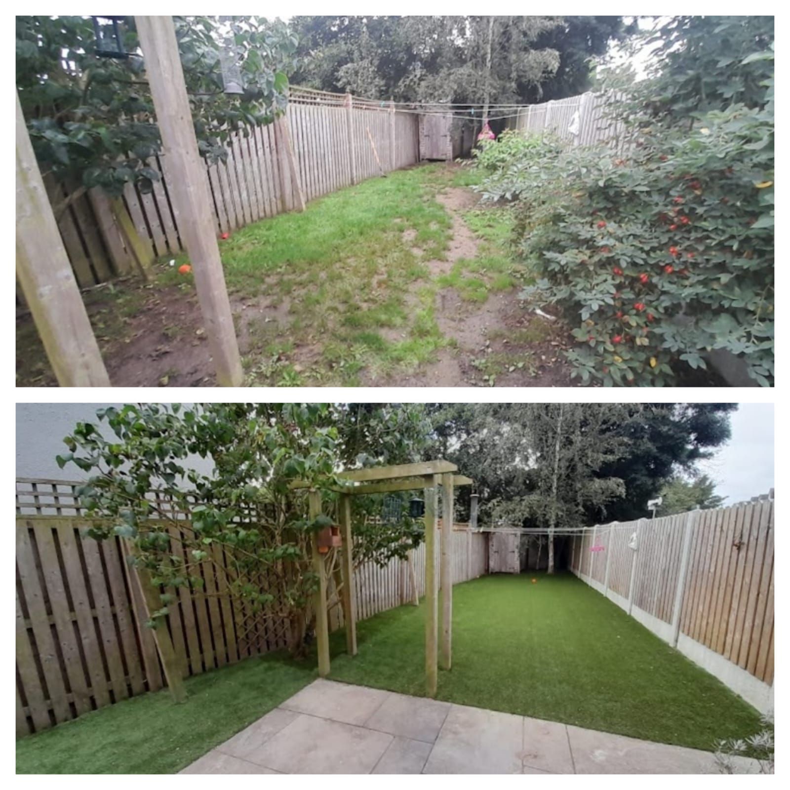 Before and after of a backyard transformation: Grassy, unkempt yard becomes a green lawn with patio.